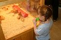 Picture 009